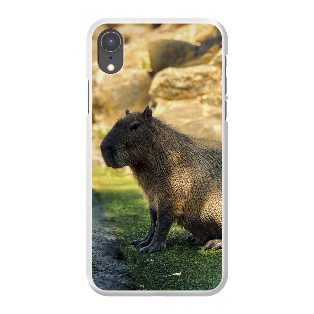 Coque rigide imprimée au dos (Blanc)
