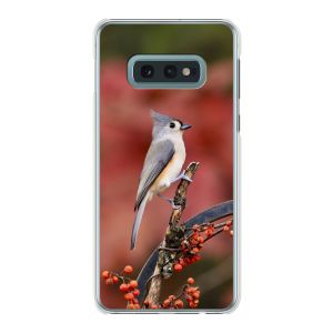 Coque rigide imprimée au dos (Transparent)