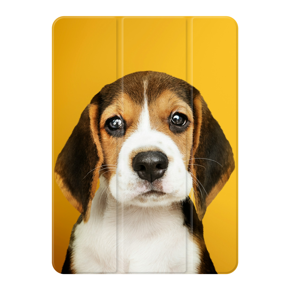 Smart case Apple iPad Air (2020) / iPad Air (2022)