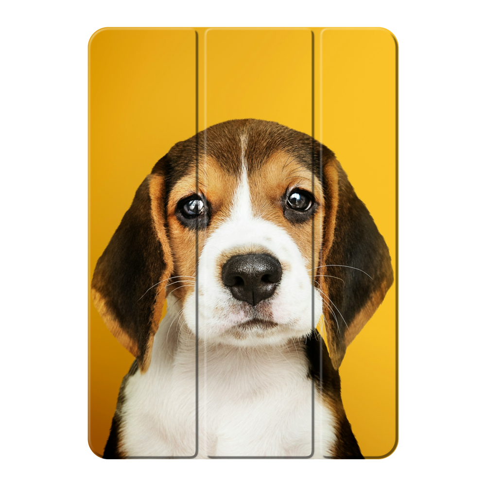 Smart case Apple iPad 2022, iPad 2025
