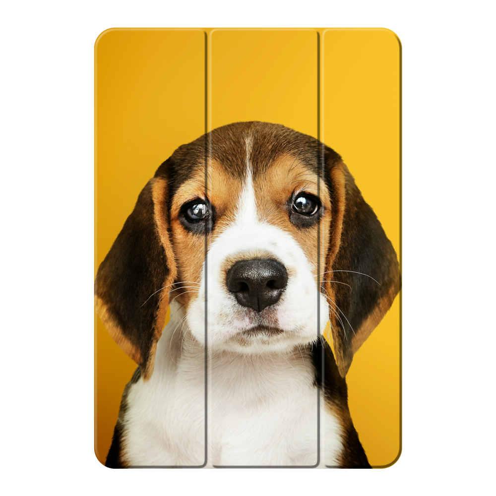 Smart case Apple iPad 2019 (7th gen) / iPad 2020 (8th gen) / iPad 2021 (9th gen)