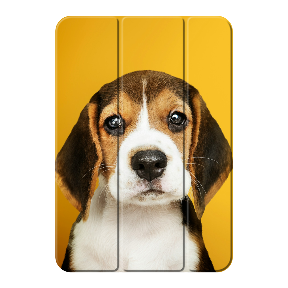 Smart case Apple iPad mini 2021