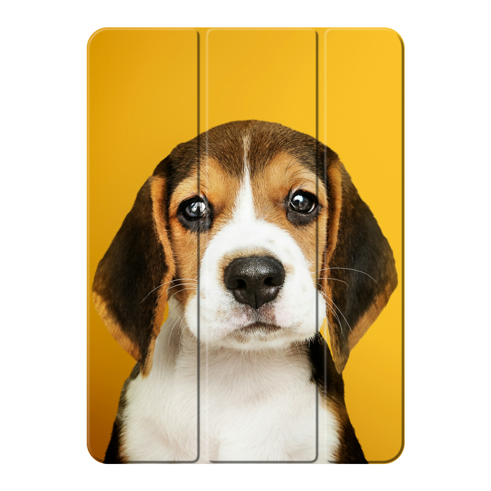 Smart case Apple iPad Air 2024 / iPad Air 2025 / iPad Air 2026 11 inch