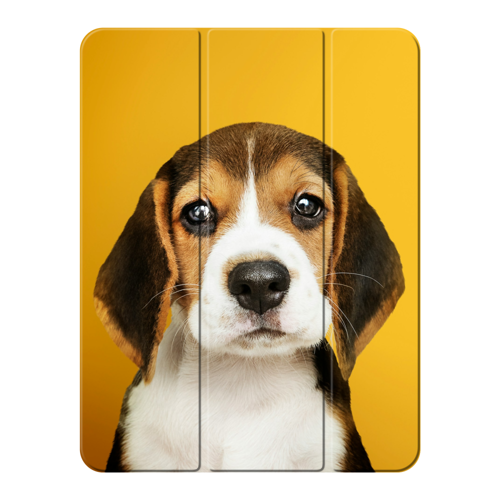Smart case Apple iPad Pro 2024 / iPad Pro 2025 13 inch
