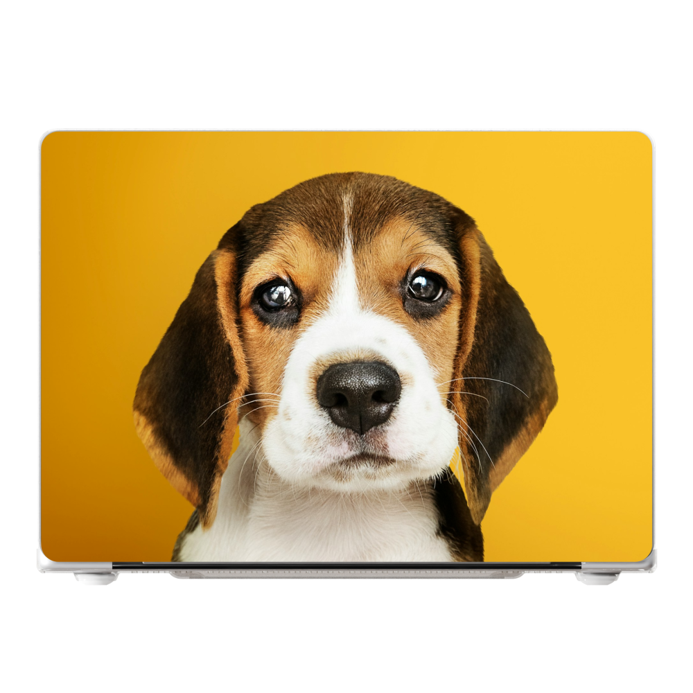 MacBook Pro 14-inch M1 / M2 / M3 / M4 / M5 (2021 - 2026) Hard case (front printed, transparent)