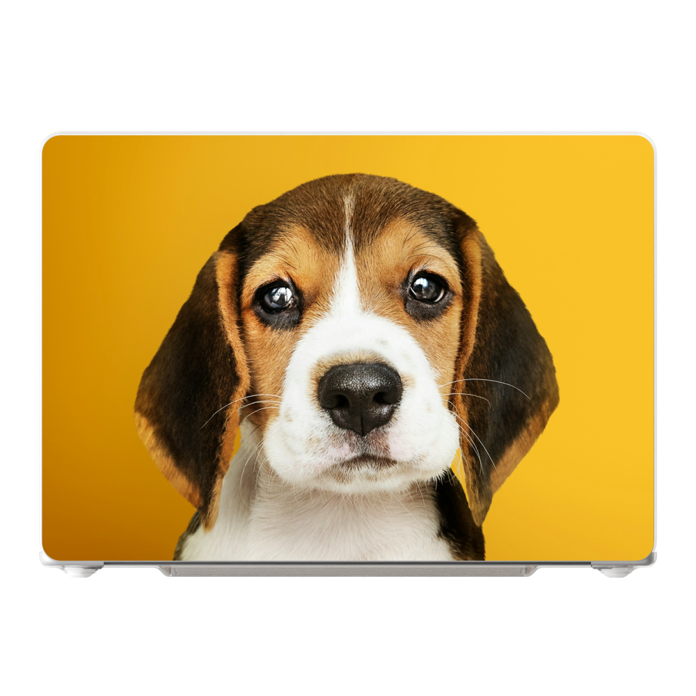 MacBook Air 15-inch M2 / M3 / M4 / M5 (2023 - 2026) Hard case (front printed, transparent)