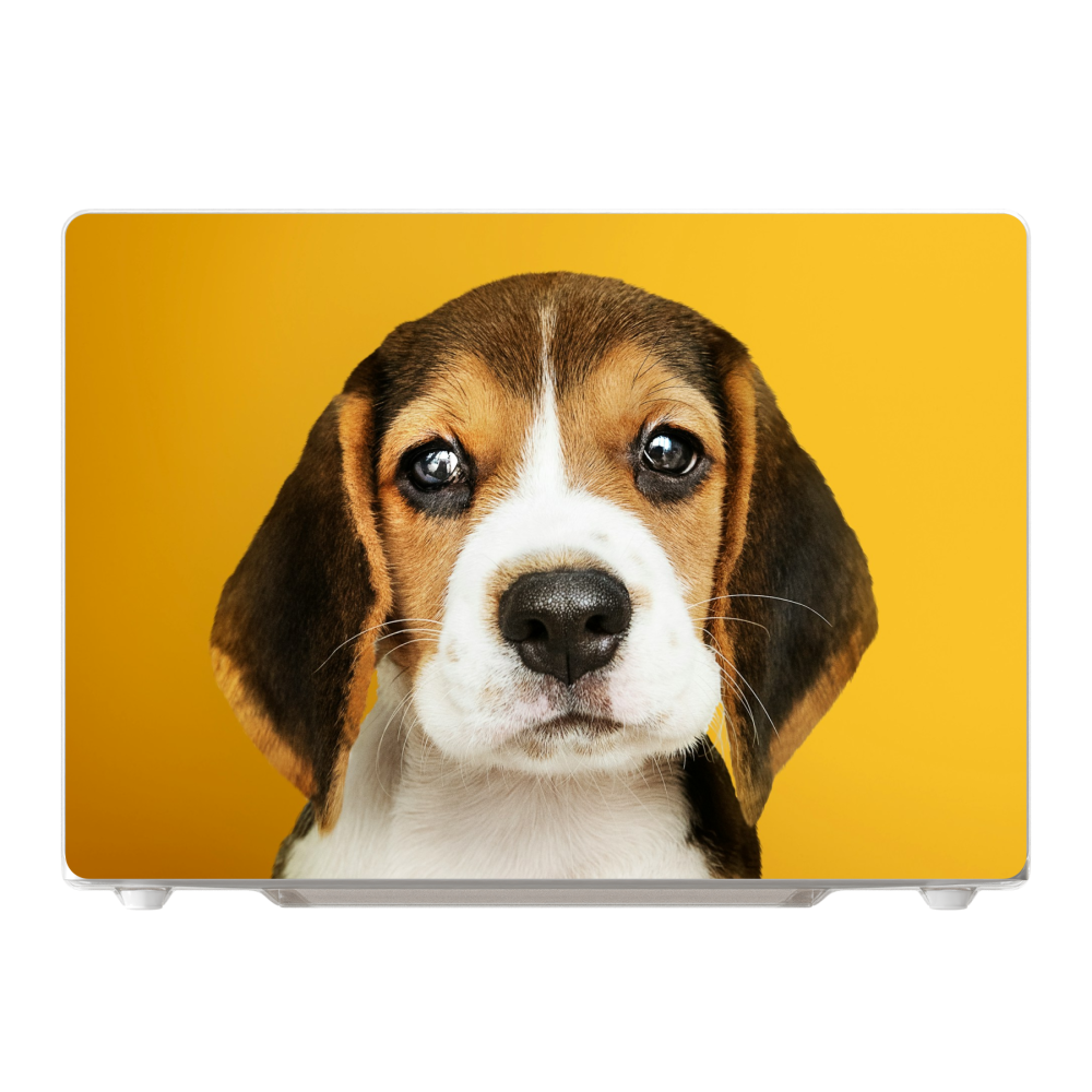 MacBook Pro 16-inch M1 / M2 / M3 / M4 / M5 (2021 - 2026) Hard case (front printed, transparent)