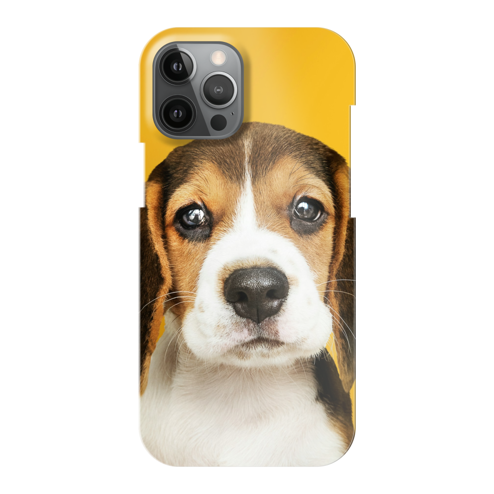 Apple iPhone 12 Pro Max Hard case (fully printed, glossy)