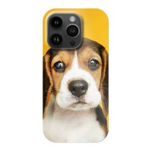 Apple iPhone 14 Pro Hard case (fully printed, glossy)