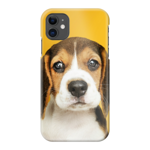 Apple iPhone 11 Hard case (fully printed, glossy)
