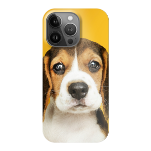 Apple iPhone 13 Pro Hard case (fully printed, glossy)