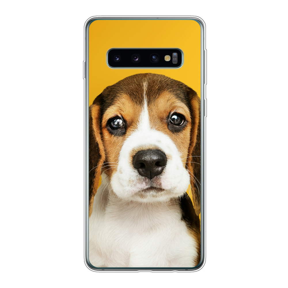 Samsung Galaxy S10 Soft case (back printed, transparent)