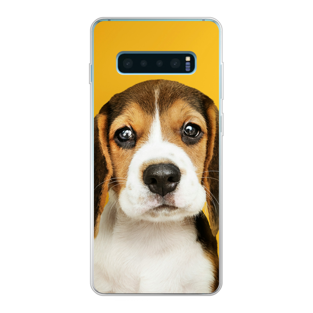 Samsung Galaxy S10 Plus Soft case (back printed, transparent)