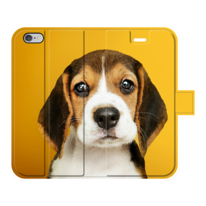 Apple iPhone 6 / iPhone 6s Wallet case (fully printed)
