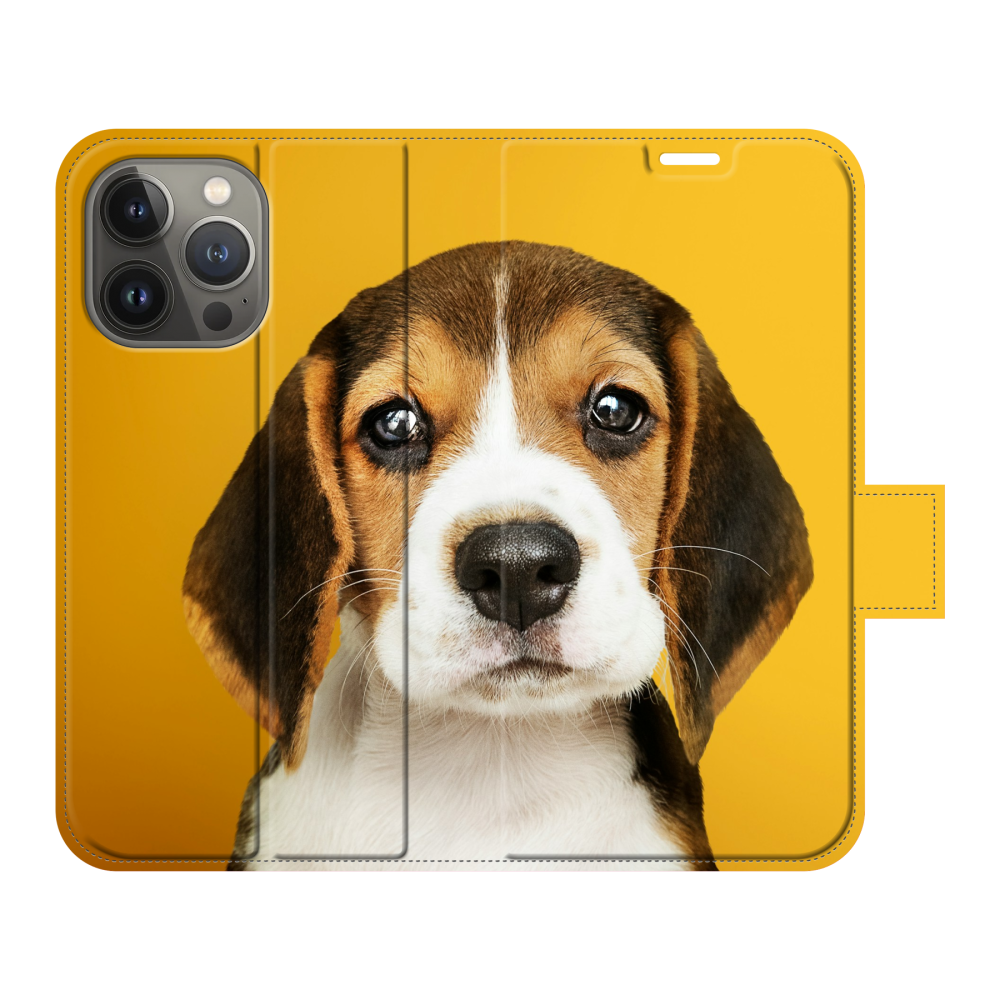 Apple iPhone 13 Pro Wallet case (fully printed)