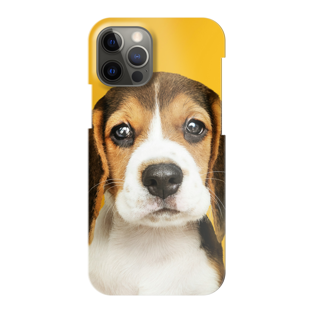 Apple iPhone 12 / iPhone 12 Pro Hard case (fully printed, glossy)