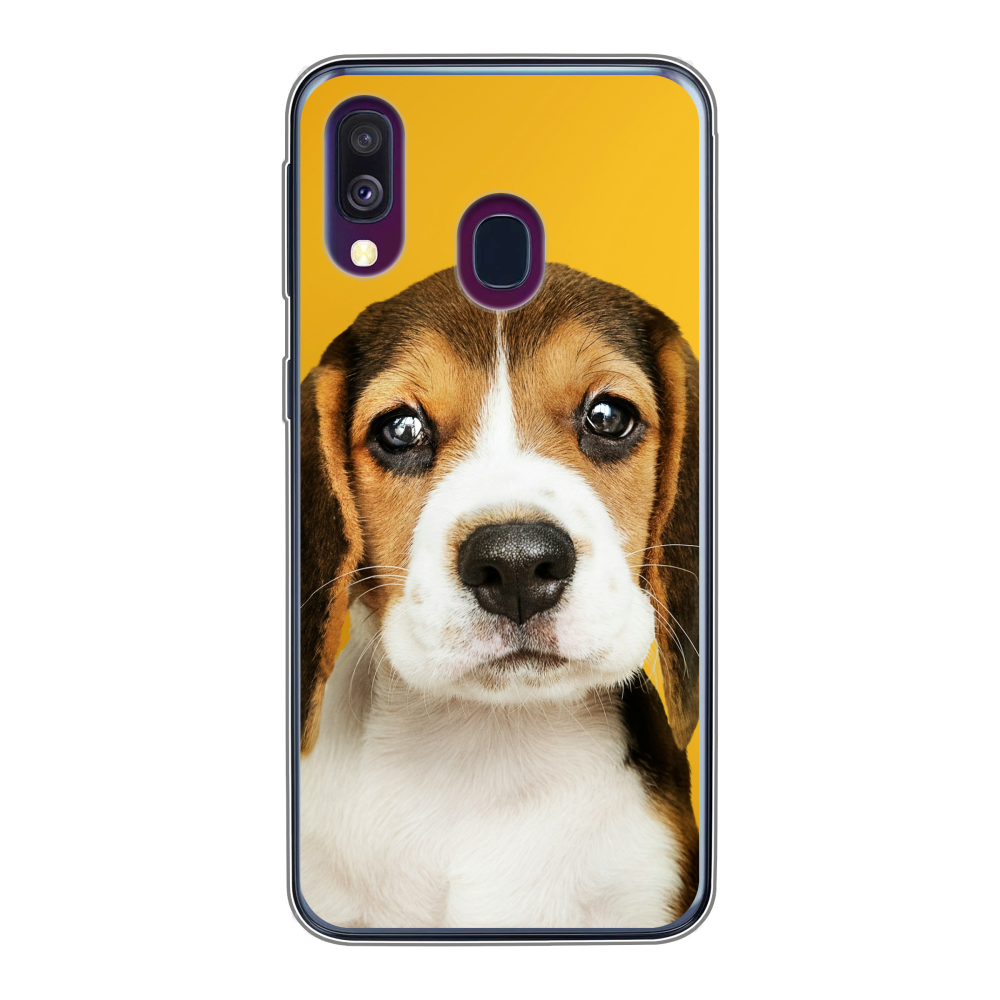Samsung Galaxy A40 Soft Case (back printed, transparent)